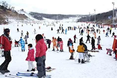 白色有香味的花|【釜山滑雪】探索韓國滑雪場的魅力！速睇釜山2024滑雪攻略